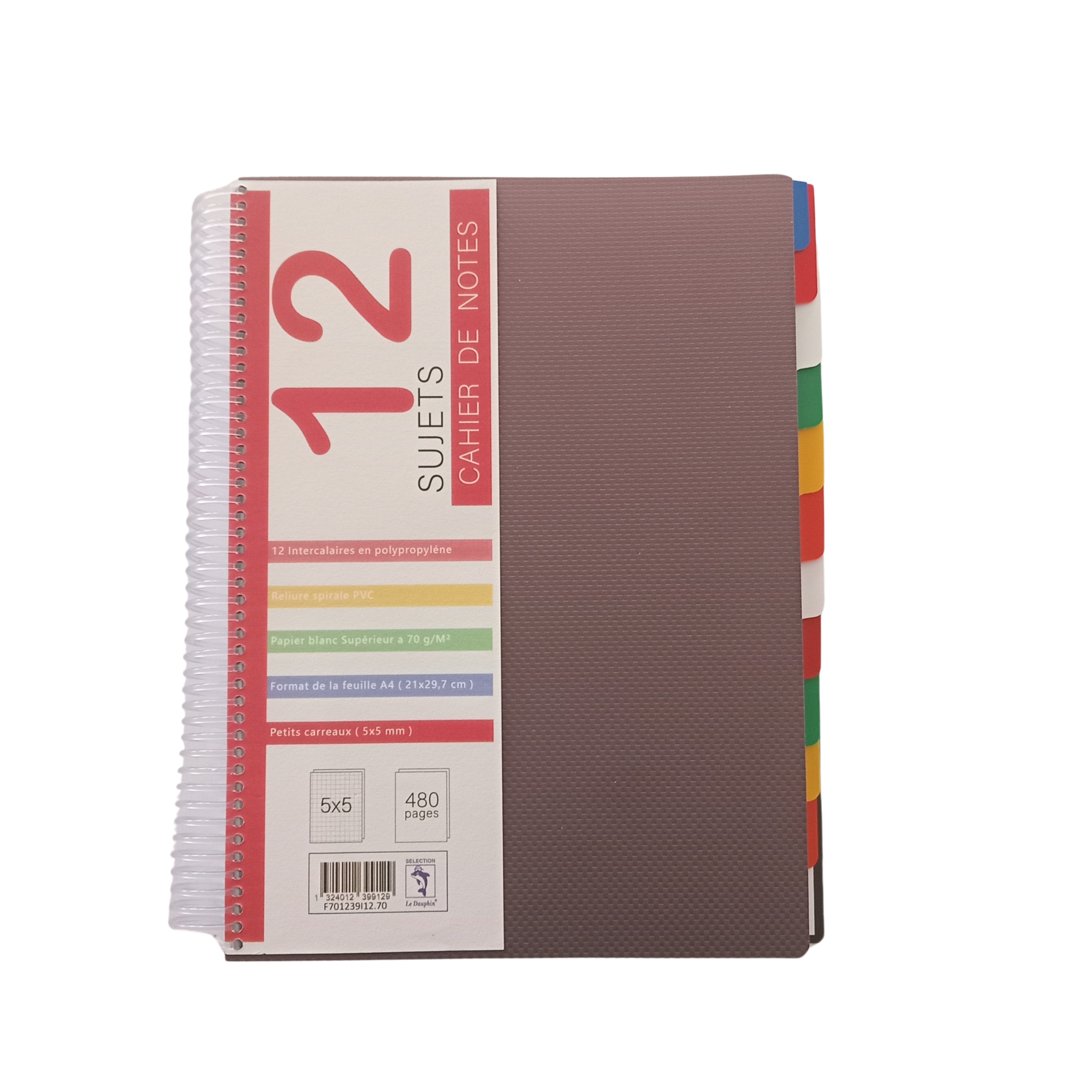 CAHIER SPIRALE SIMPLE POLYPROPYLENE 480 PAGES 5*5.A4 12S