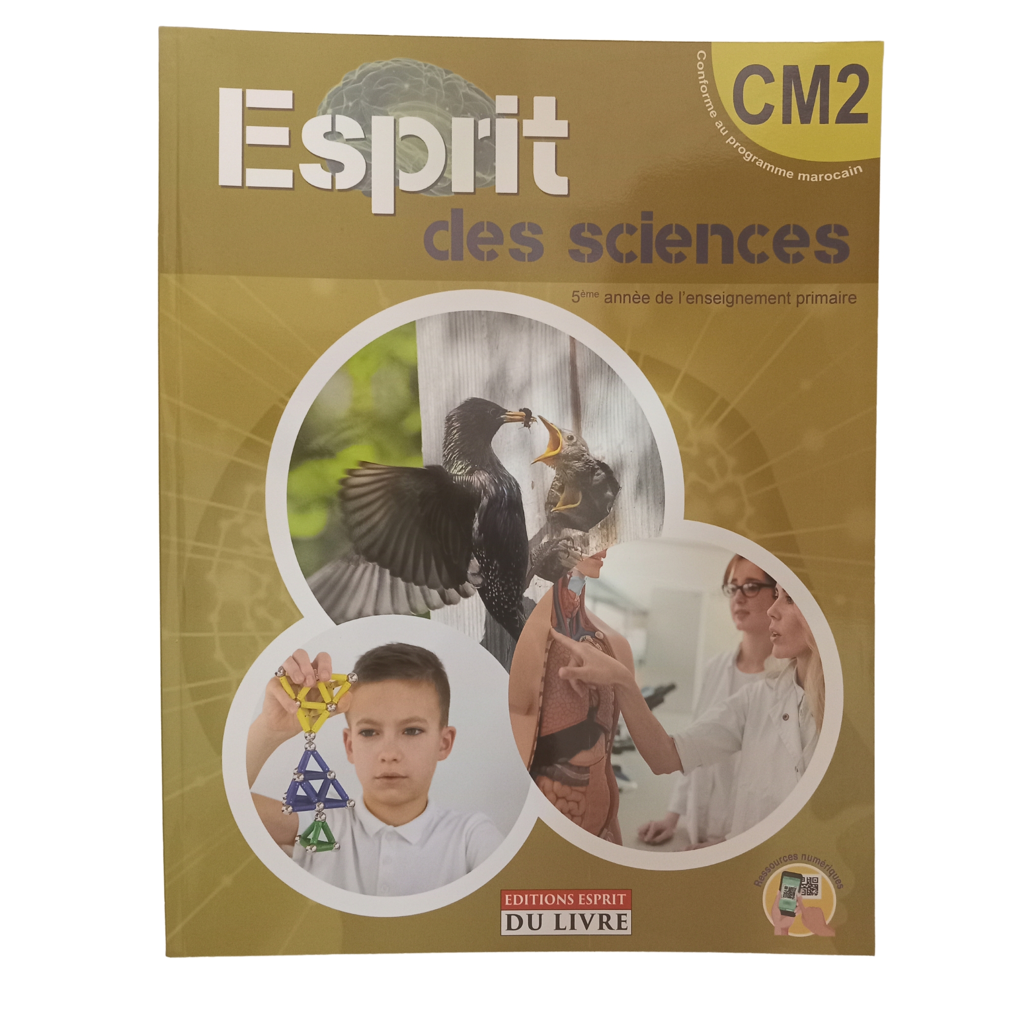 ESPRIT DES SCIENCES CM2 ED-ESPRIT DU LIVRE