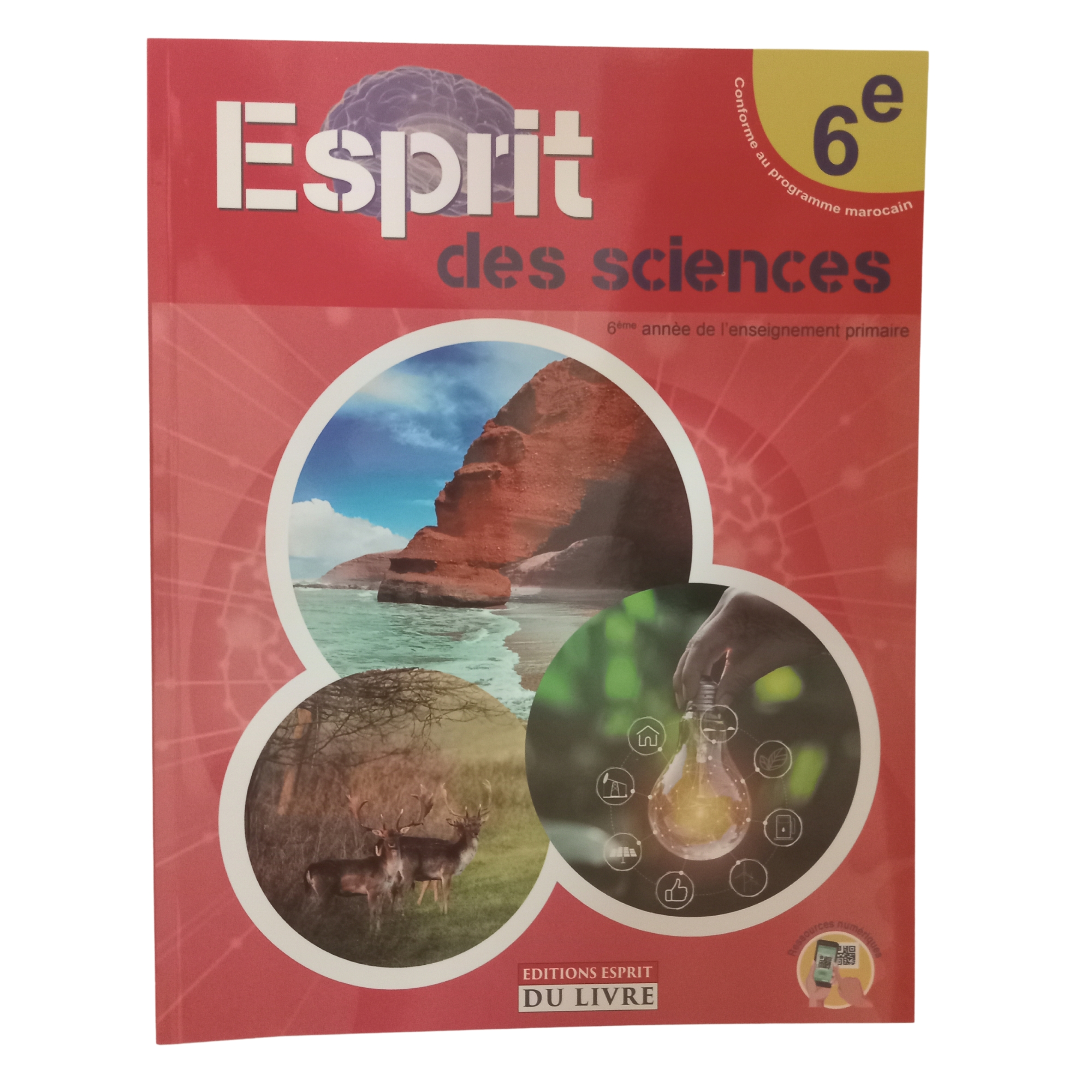 ESPRIT DES SCIENCES CE6 ED-ESPRIT DU LIVRE